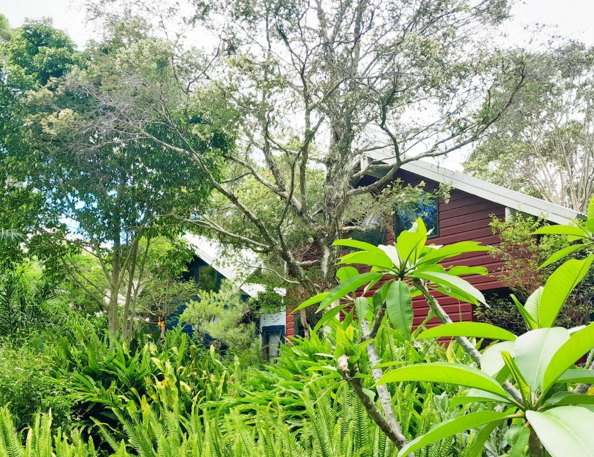 Sky Island Studios Mount Tamborine Esterno foto
