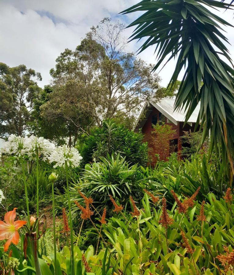 Sky Island Studios Mount Tamborine Esterno foto